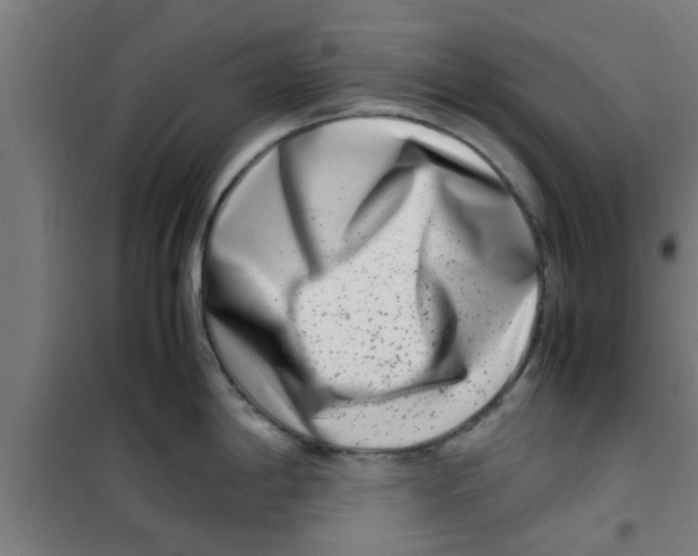 X0000100401198200807032006