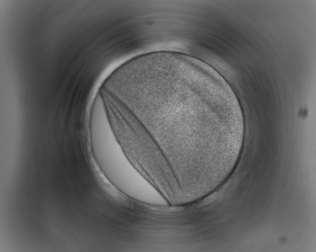 X0000100401200200807032006