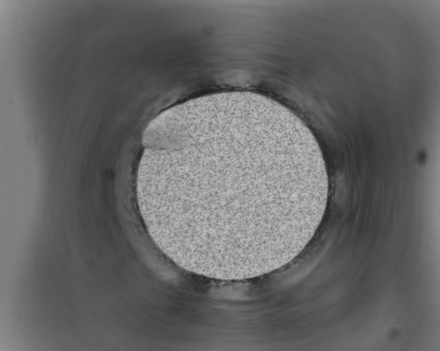 X0000100401201200807032005