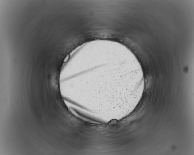 X0000100401202200807032005