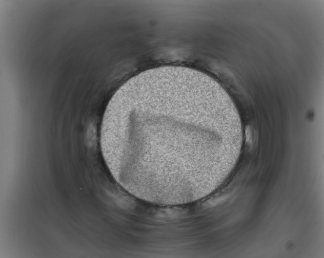 X0000100401203200807032005