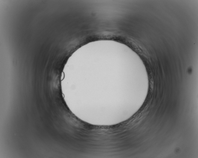 X0000100401204200807032005