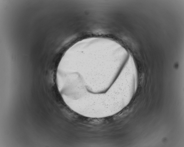X0000100401205200807032005