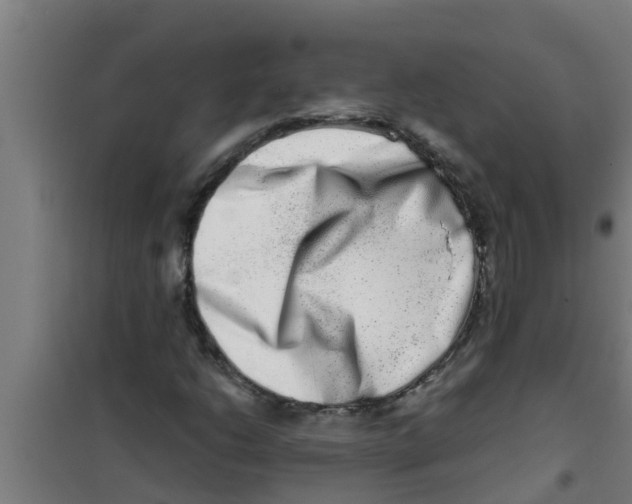 X0000100401206200807032005