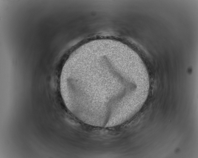 X0000100401207200807032005
