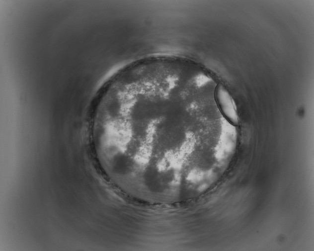 X0000100401208200807032005