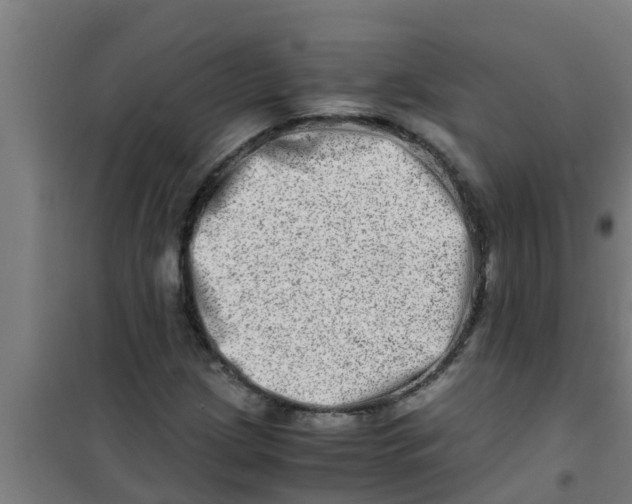 X0000100401209200807032005
