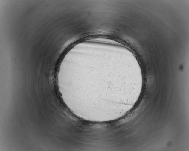 X0000100401210200807032005