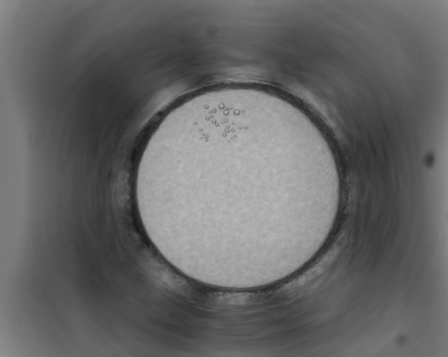 X0000100401211200807032005