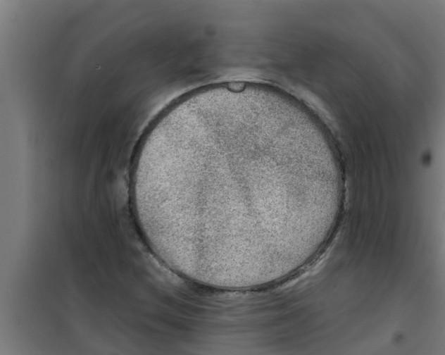X0000100401212200807032005