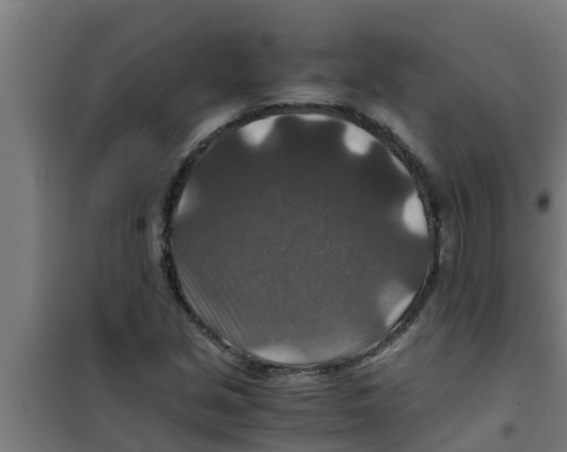 X0000100401213200807032005