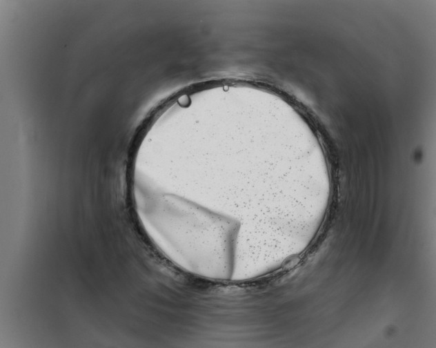 X0000100401214200807032005