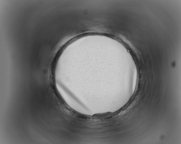 X0000100401215200807032005