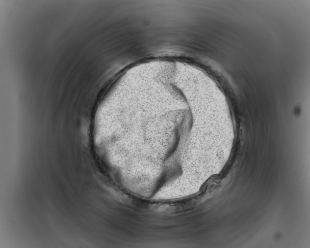 X0000100401217200807032005