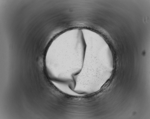X0000100401218200807032005