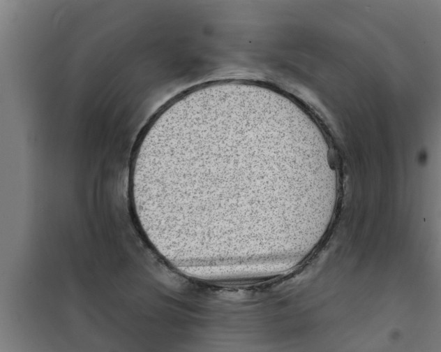 X0000100401220200807032005