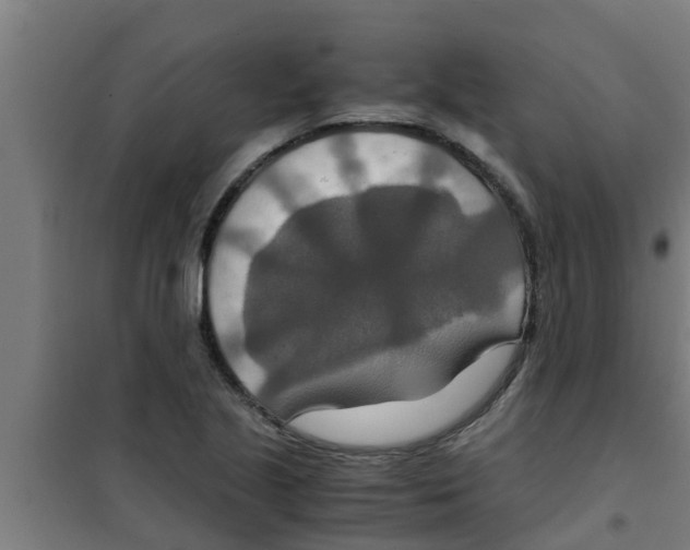 X0000100401221200807032005