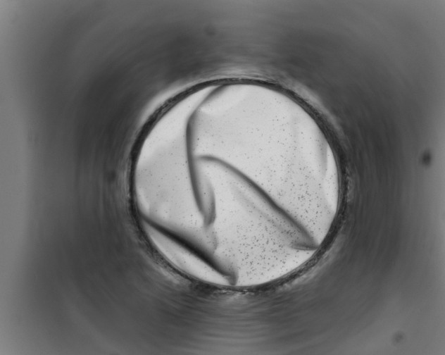 X0000100401222200807032005