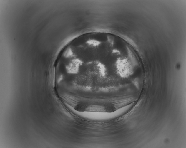 X0000100401223200807032005