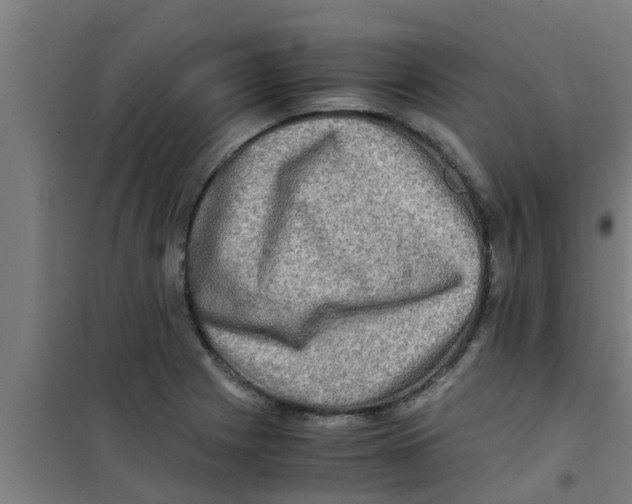 X0000100401225200807032005