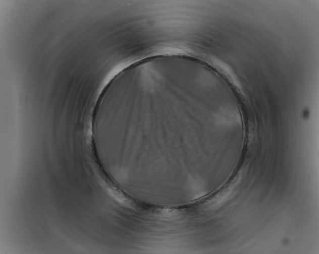 X0000100401226200807032005