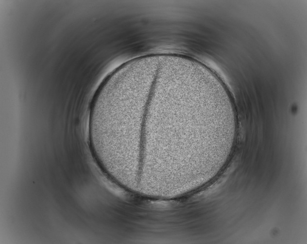 X0000100401227200807032005