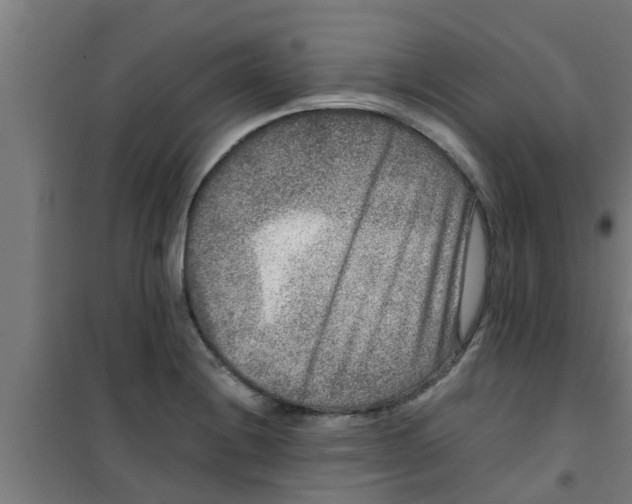 X0000100401228200807032005