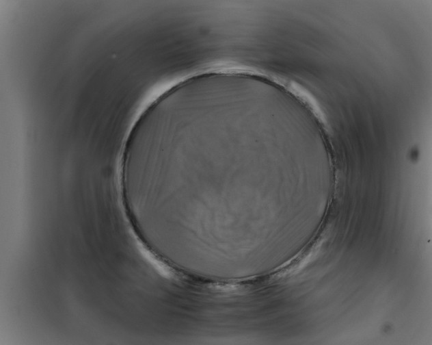 X0000100401231200807032005