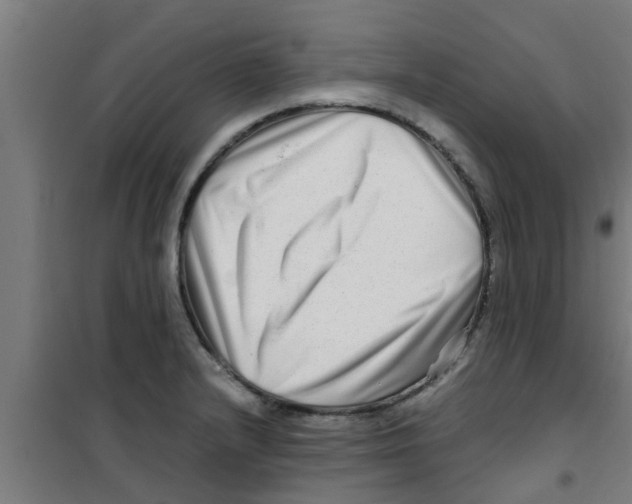 X0000100401232200807032005