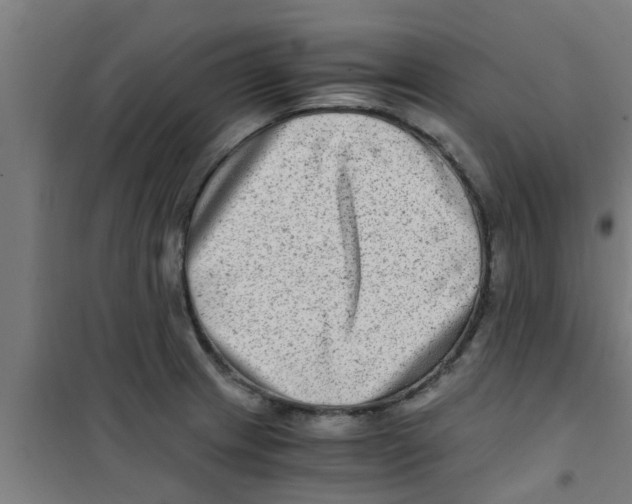 X0000100401233200807032005