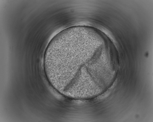 X0000100401234200807032005