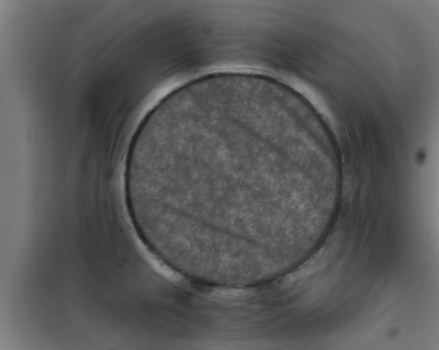 X0000100401237200807032005