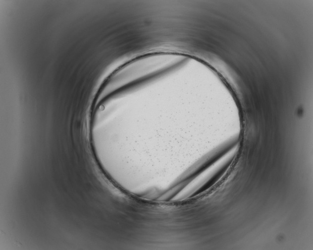 X0000100401238200807032005