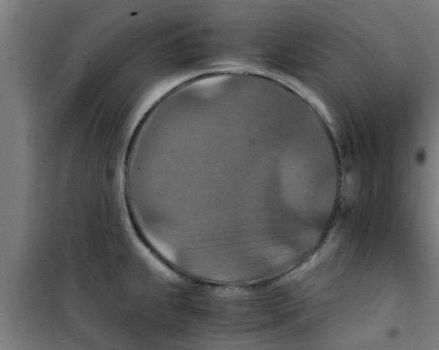 X0000100401239200807032005
