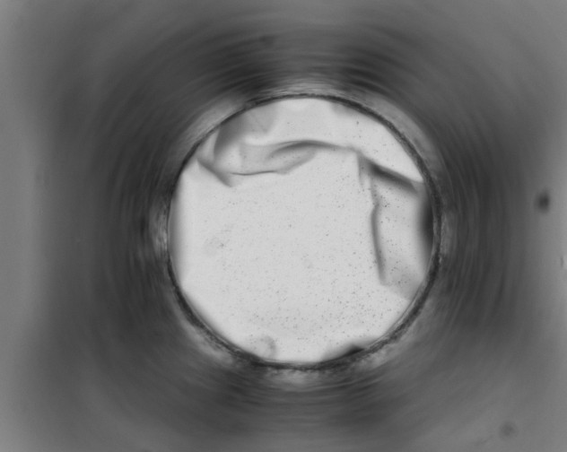 X0000100401241200807032005