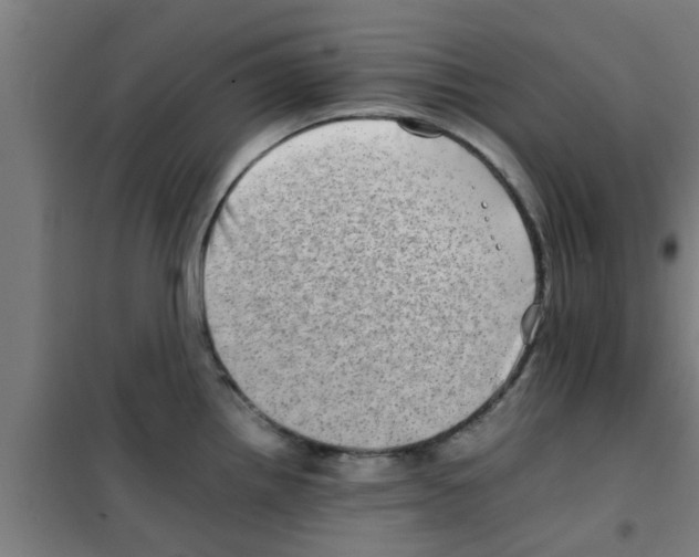 X0000100401242200807032006