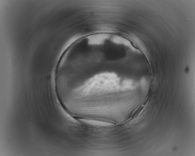 X0000100401243200807032006