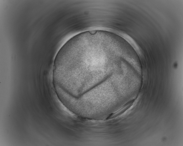 X0000100401244200807032006
