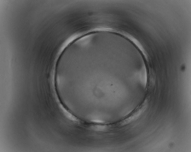 X0000100401245200807032006