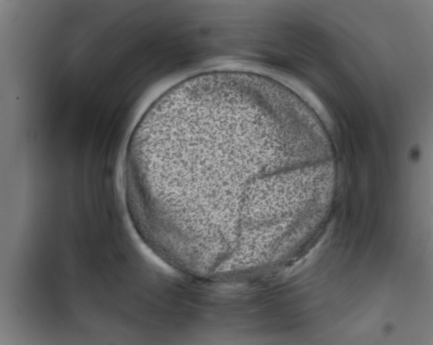 X0000100401247200807032006