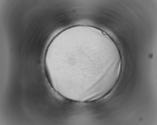 X0000100401248200807032006