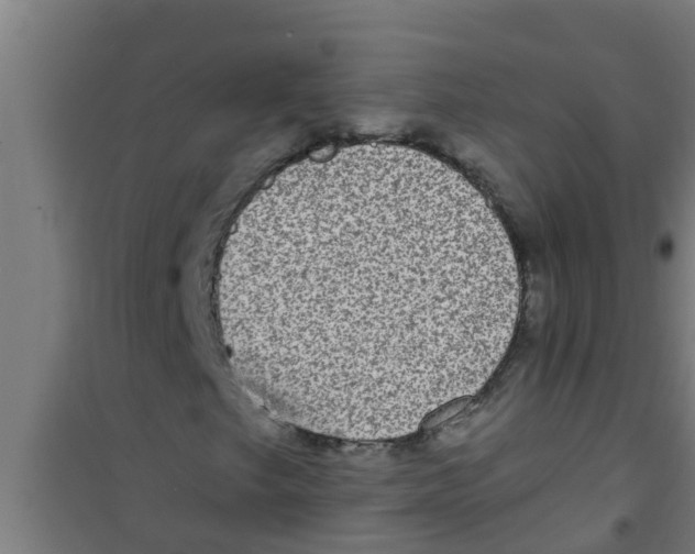 X0000100401249200807032005