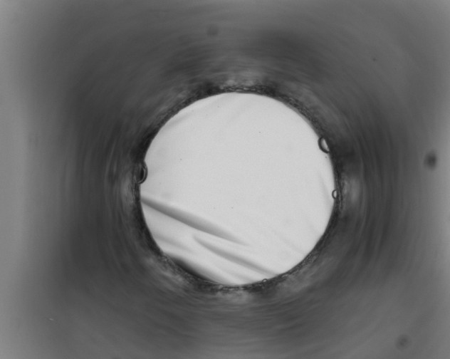 X0000100401250200807032005