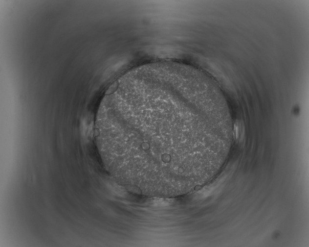 X0000100401251200807032005