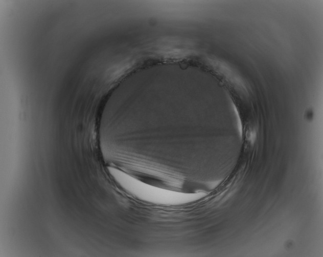 X0000100401252200807032005