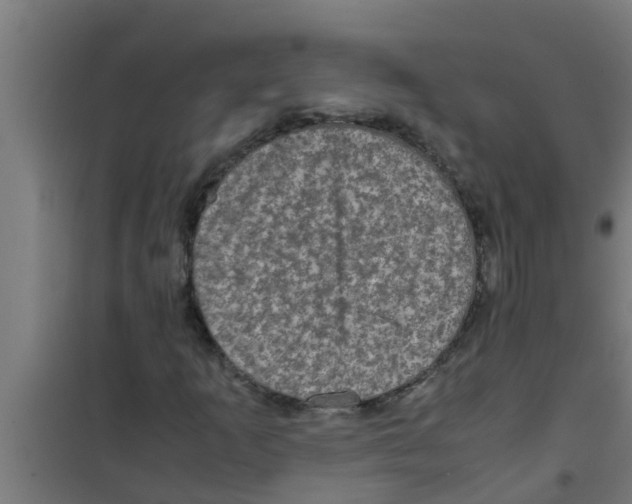X0000100401253200807032005