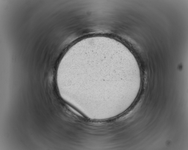 X0000100401257200807032005