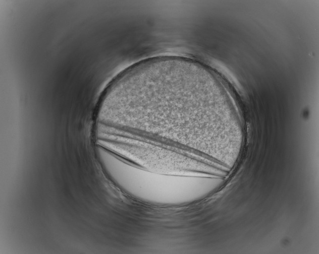 X0000100401260200807032005