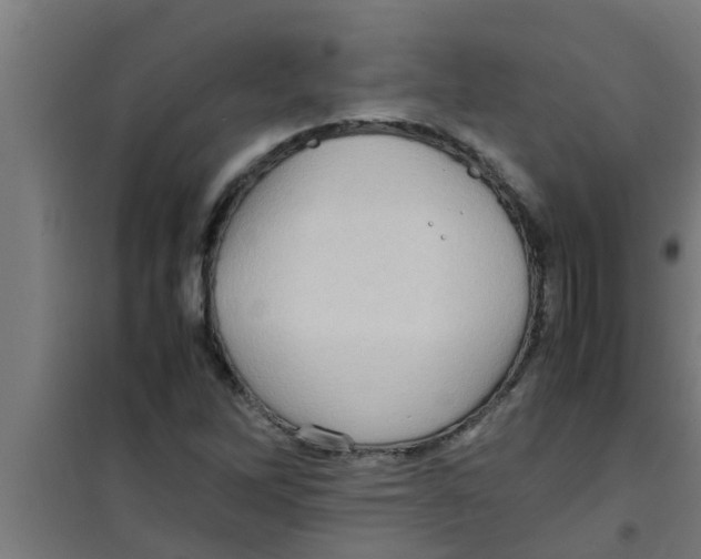 X0000100401262200807032005
