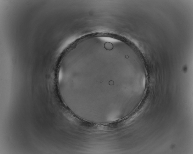 X0000100401263200807032005